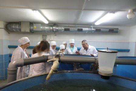 Студенты посетили производственную базу МИП СГАУ «Индустриальное рыбоводство» Фото 9