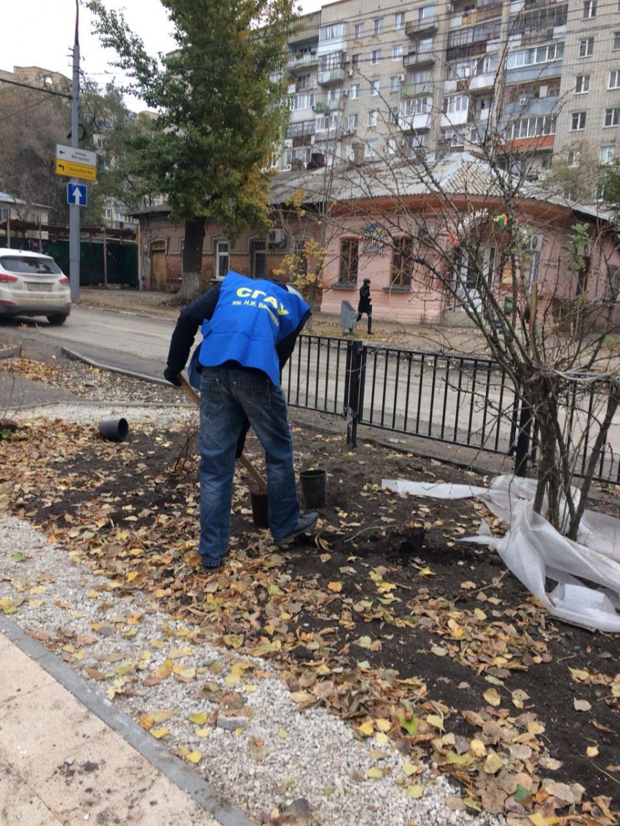 Субботник в сквере по улице Рахова Фото 3