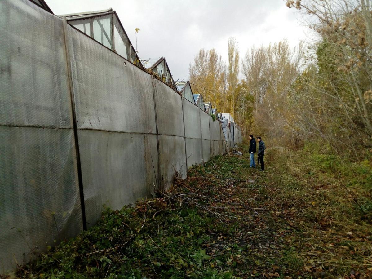 Благоустройство Агроцентра силами факультета инженерии и природообустройства Фото 4