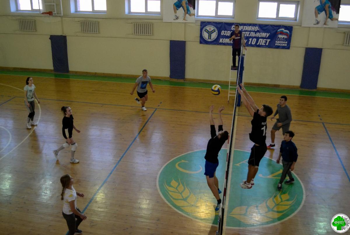 Турнир по волейболу среди первокурсников Фото 1