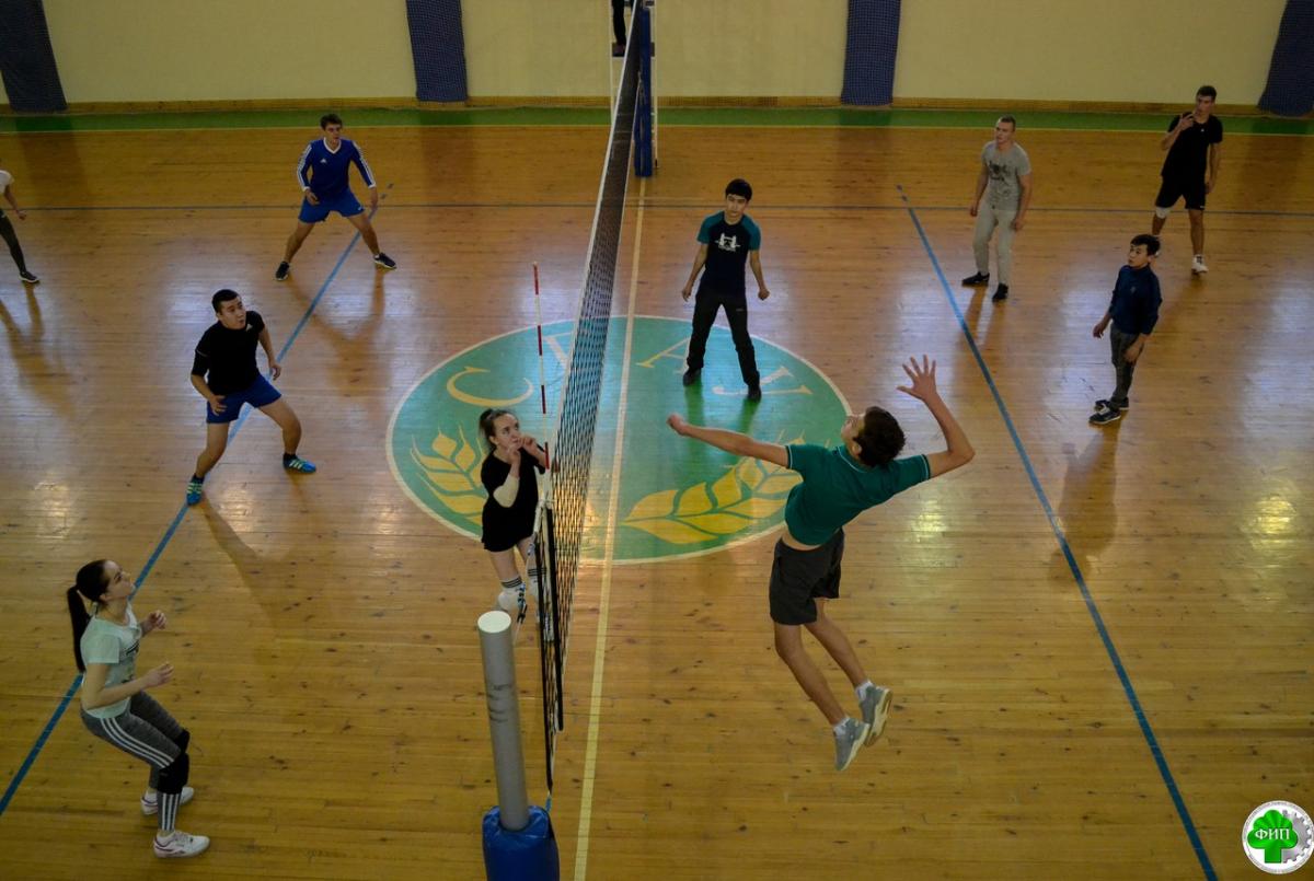 Турнир по волейболу среди первокурсников Фото 4