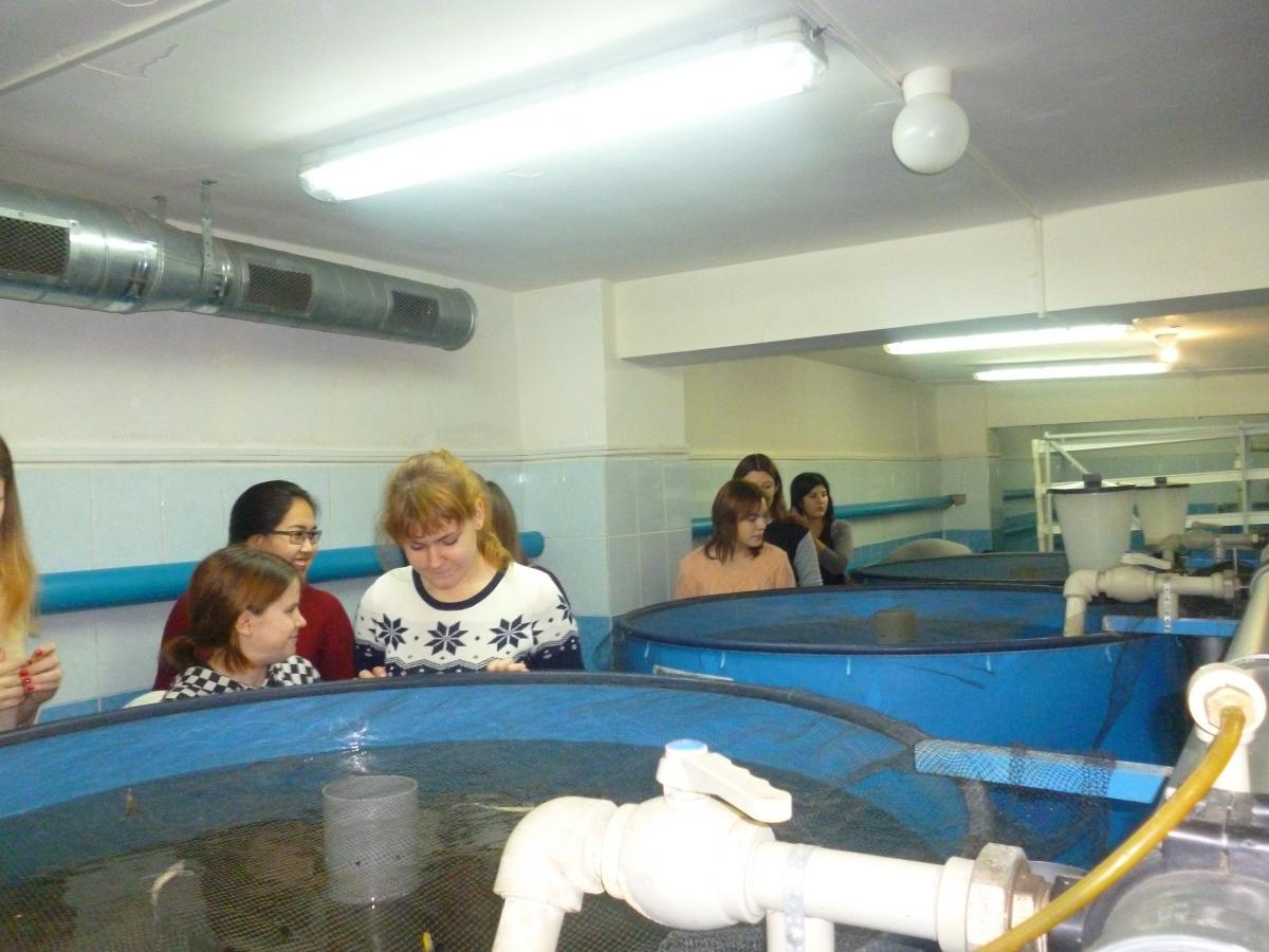 Экскурсия в лабораторию технологию кормления и выращивания рыбы Фото 4