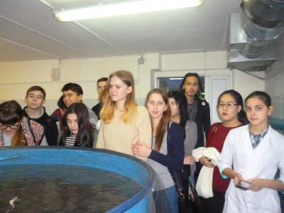 Экскурсия в лабораторию технологию кормления и выращивания рыбы