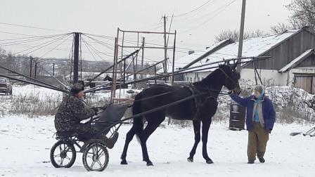 Посещение Саратовского регионального управления ООО «Российские ипподромы» Фото 2