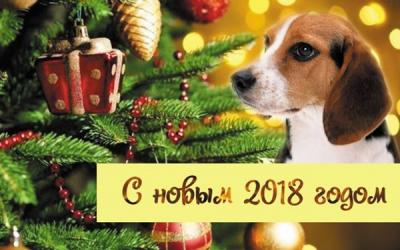 Поздравление с наступающим 2018 годом!