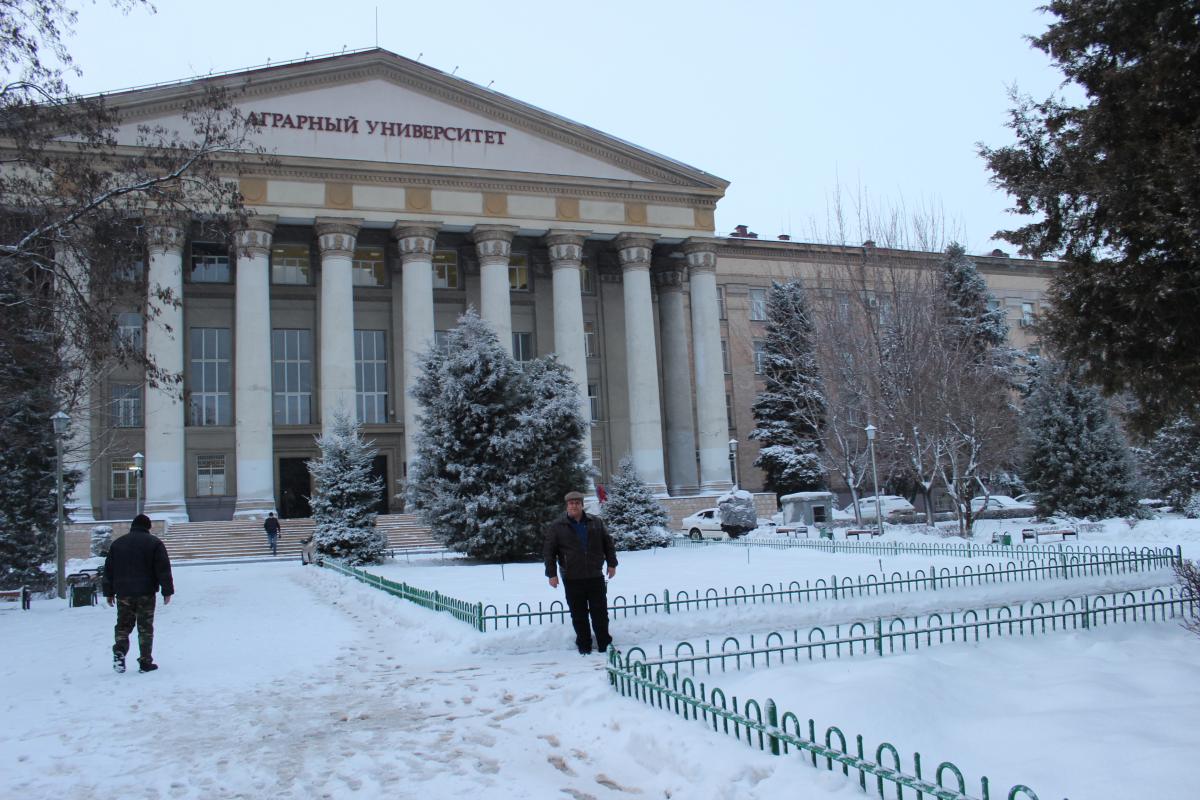 Международная научно-практическая конференция "Мировые научно-технологические тенденции социально-экономического развития АПК и сельских территорий" в Волгограде Фото 6