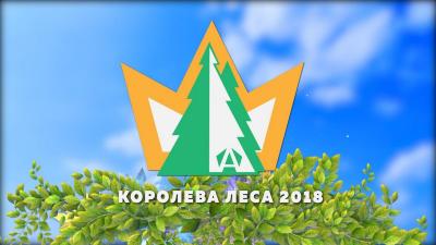 Студентка Саратовского ГАУ прошла в суперфинал II-го Всероссийского конкурса «Королева леса – 2018»
