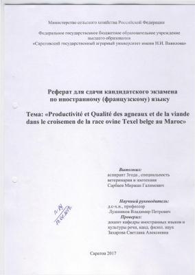 Без Названия