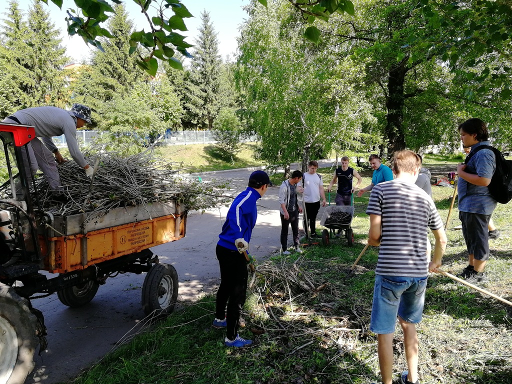 Благоустройство объектов проекта Агротуризм Фото 7