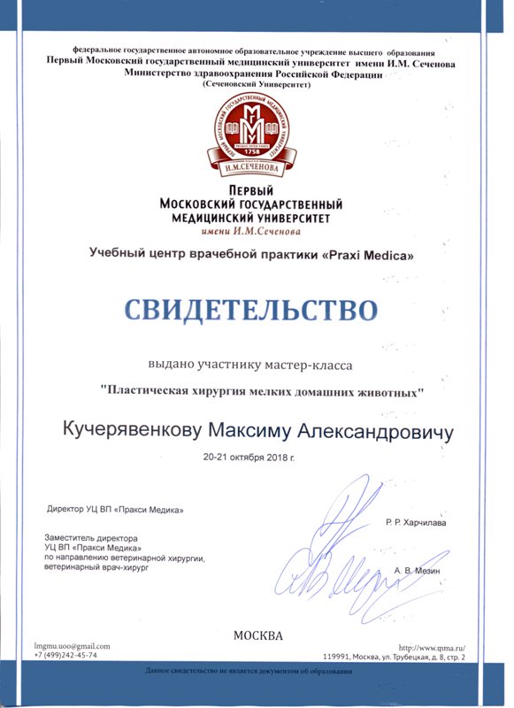 Ветеринарный врач клиники 