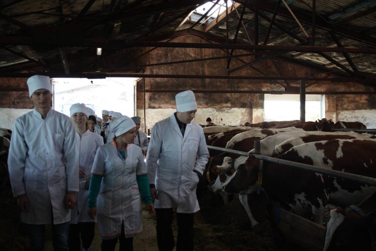 Практические занятия на базе АО ПЗ «Мелиоратор» Марксовского района Саратовской области Фото 5