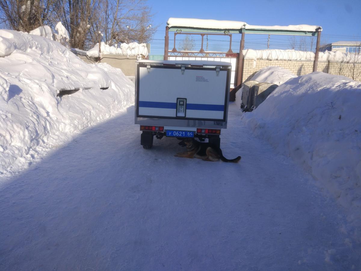 Экскурсия в Центр Кинологической Службы ГУ МВД России Фото 3