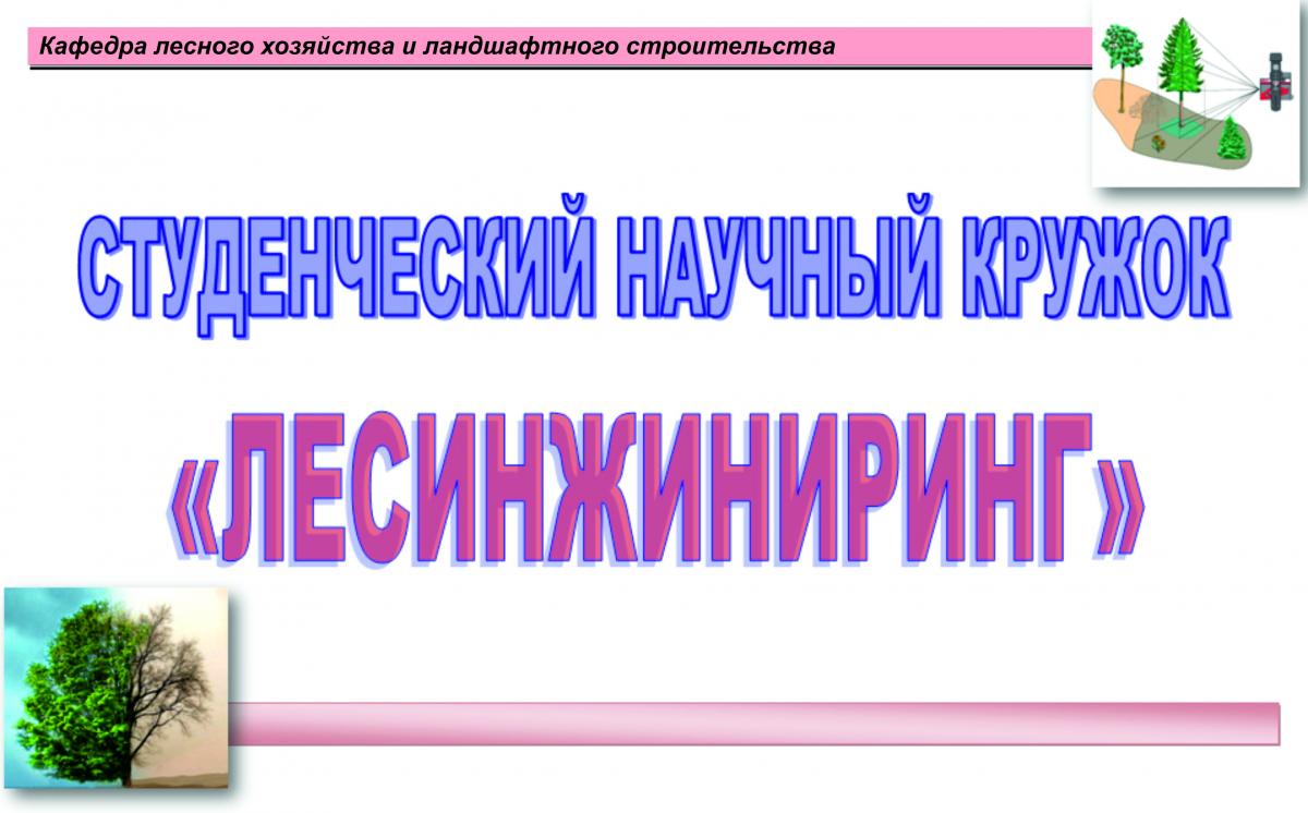 Состоялось очередное заседание студенческого научного кружка «ЛЕСИНЖИНИРИНГ»