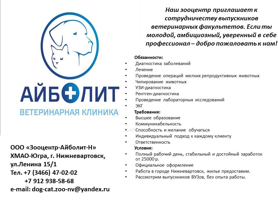 Ветеринарная клиника г. Нижневартовска приглашает на работу выпускников специальности 36.05.01 Ветеринария Фото 1