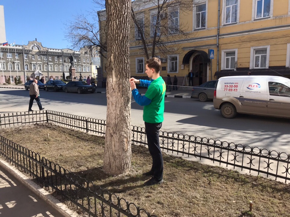 Благоустройство города Саратова Фото 2