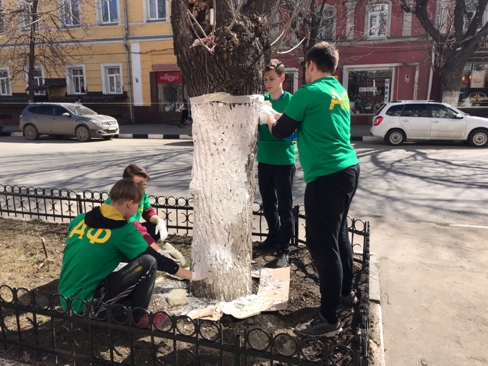 Благоустройство города Саратова Фото 4