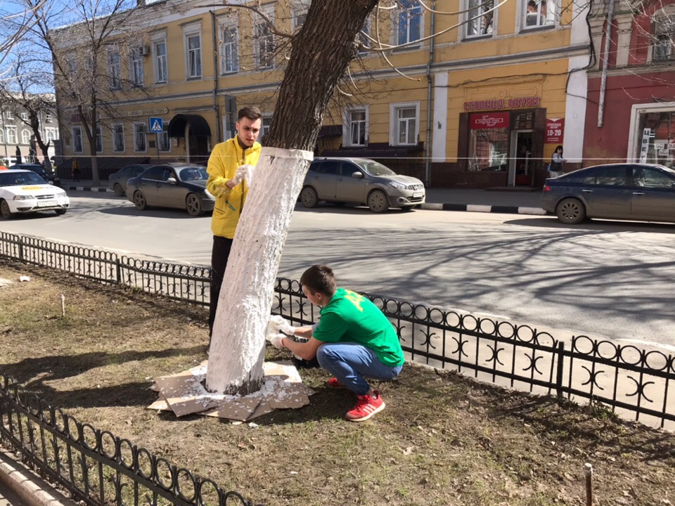 Благоустройство города Саратова Фото 8