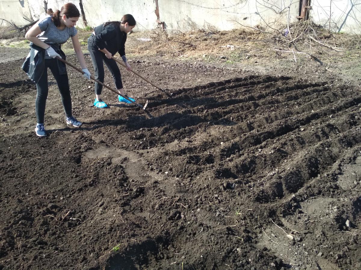 Экспериментальная работа на селекционном участке СГАУ Фото 2