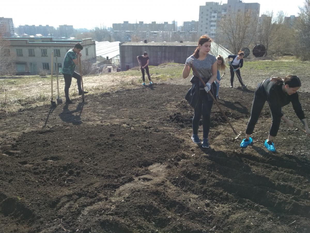 Экспериментальная работа на селекционном участке СГАУ Фото 3
