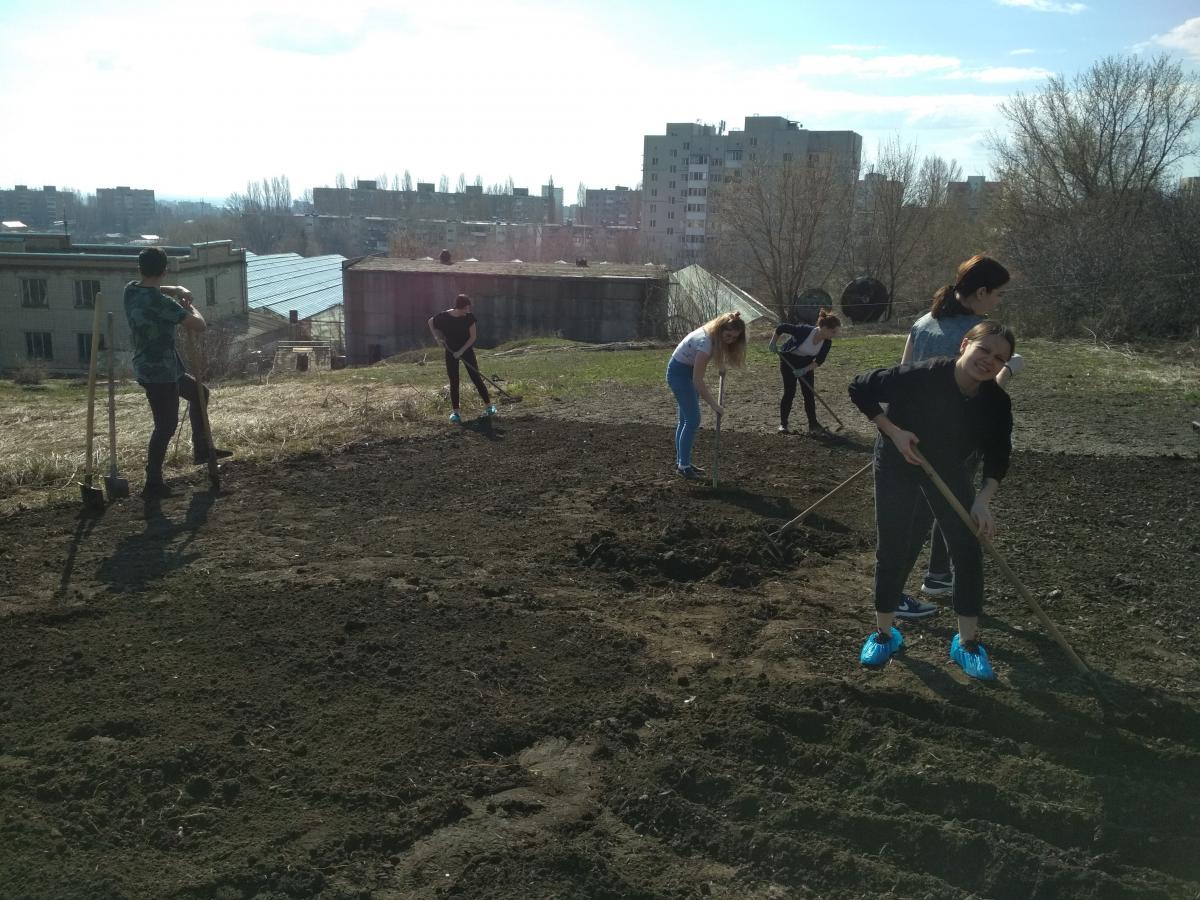 Экспериментальная работа на селекционном участке СГАУ Фото 4