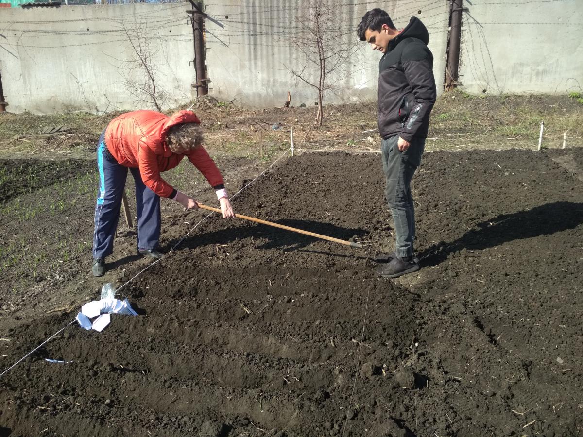 Экспериментальная работа на селекционном участке СГАУ Фото 10