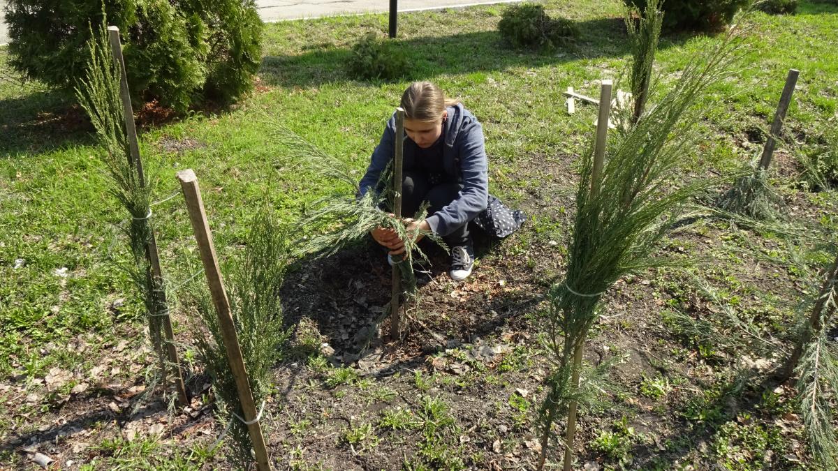 Помощь в благоустройстве территории УНПК «Агроцентр» Фото 5