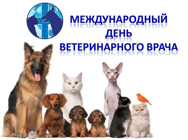 Международный день ветеринарного врача Фото 5