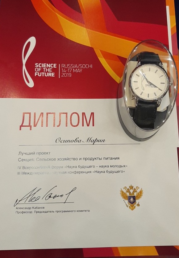 Лучший проект в Сириус Фото 3