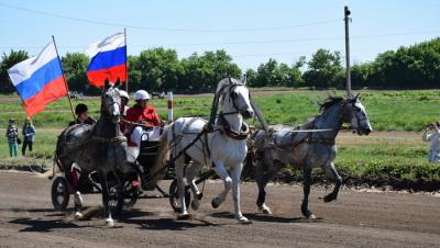 Открытие 161-го бегового сезона на Саратовском ипподроме