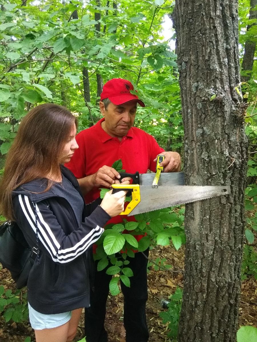 Учебная практика по лесной энтомологии Фото 2