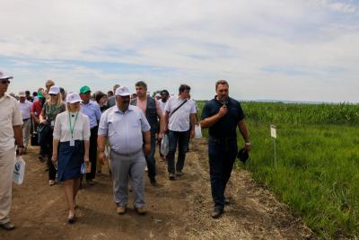 День поля Саратовского ГАУ 2019