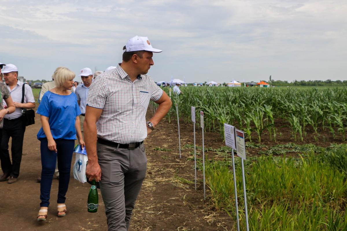 День поля Саратовского ГАУ 2019 Фото 16