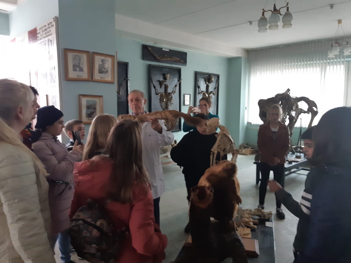 Ознакомительно-профориентационная экскурсия в анатомическом музее кафедры «Морфология, патология животных и биология» Фото 3 Ознакомительно-профориентационная экскурсия в анатомическом музее кафедры «Морфология, патология животных и биология» Фото 3