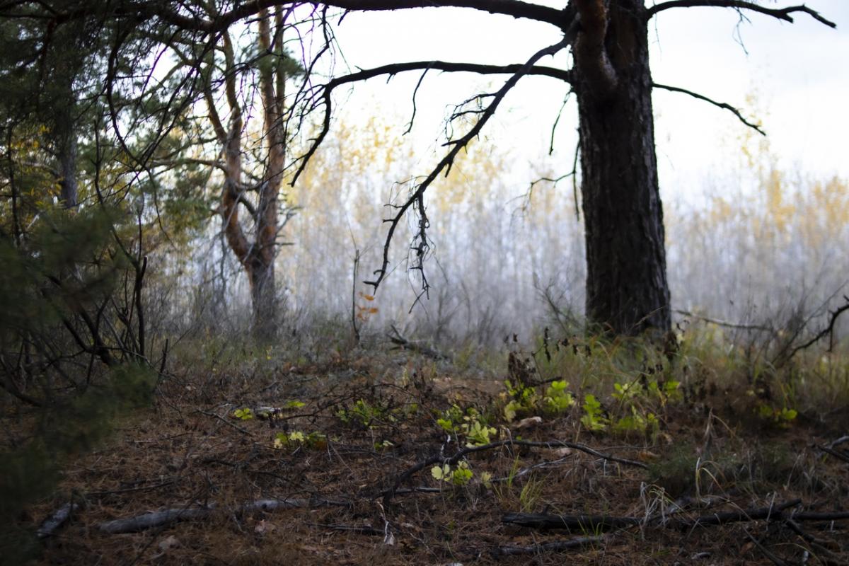 Итоги Регионального заочного фотоконкурса «Ландшафты любимого края» Фото 3