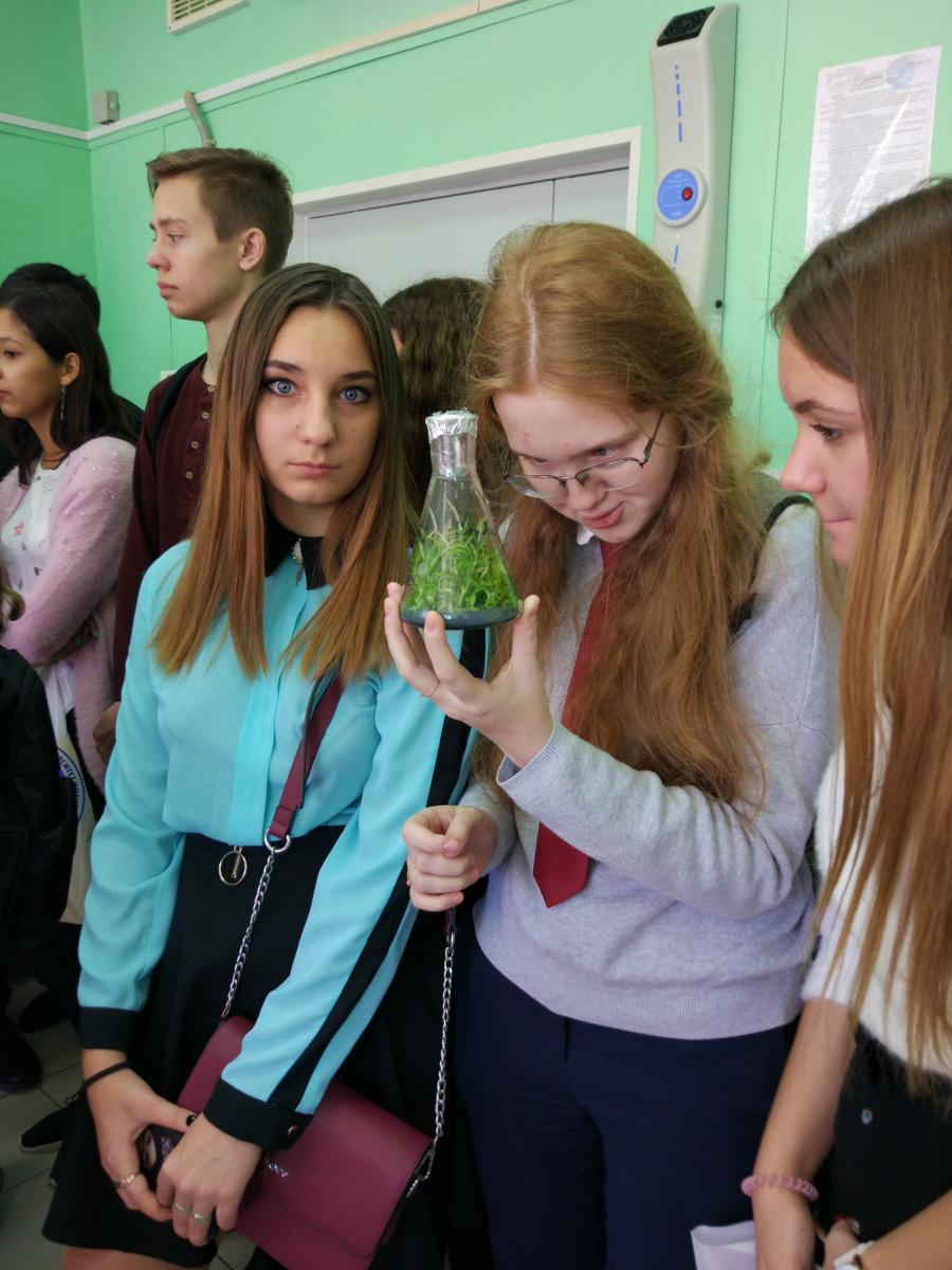 Профориентационная работа кафедры «Растениеводство, селекция и генетика» Фото 6 Профориентационная работа кафедры «Растениеводство, селекция и генетика» Фото 6
