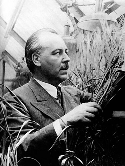 «Н. И. Вавилов – основоположник российской генетики»