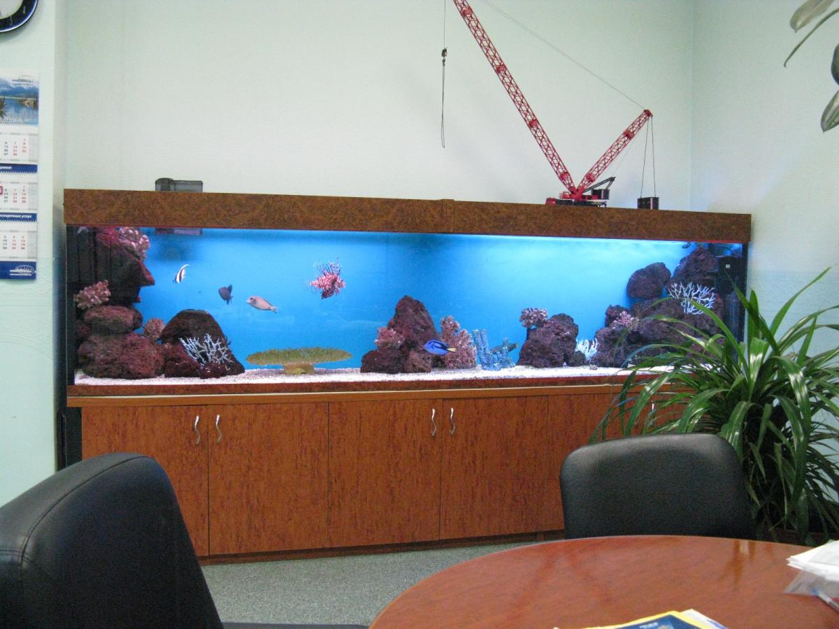 Лаборатория Декоративного рыбоводства. Фото 8
