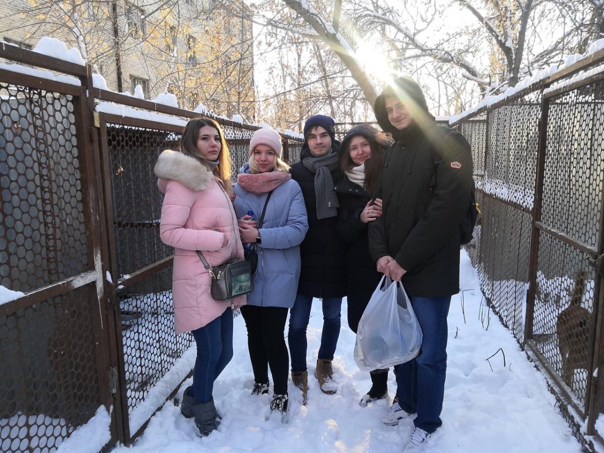 Студенты оказали помощь приюту для животных Фото 1