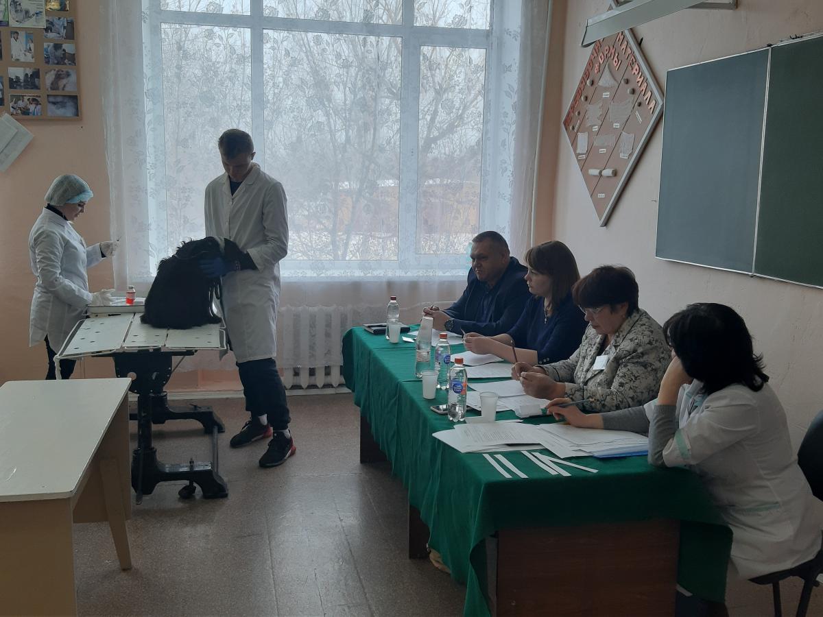 Конкурс профессионального мастерства по специальности 36.02.01 «Ветеринария» Фото 3