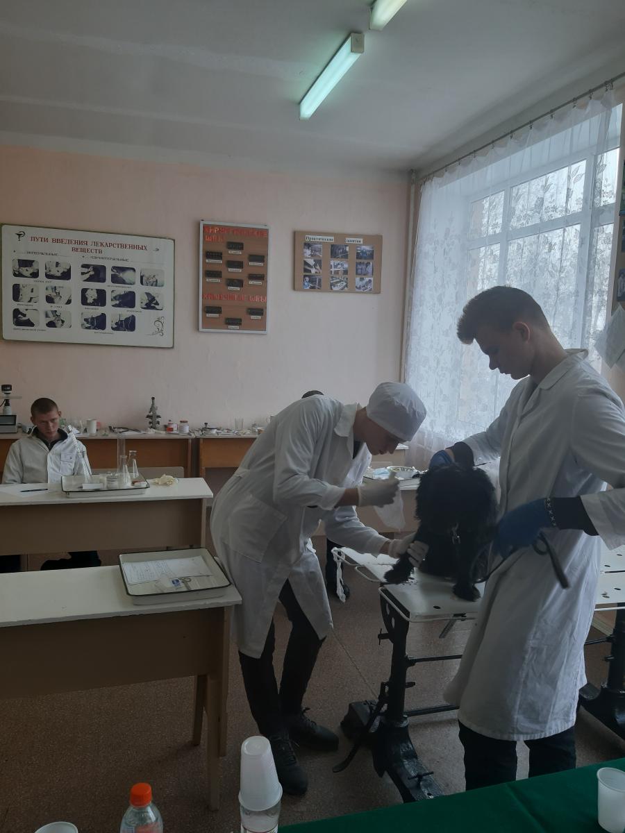 Конкурс профессионального мастерства по специальности 36.02.01 «Ветеринария» Фото 5