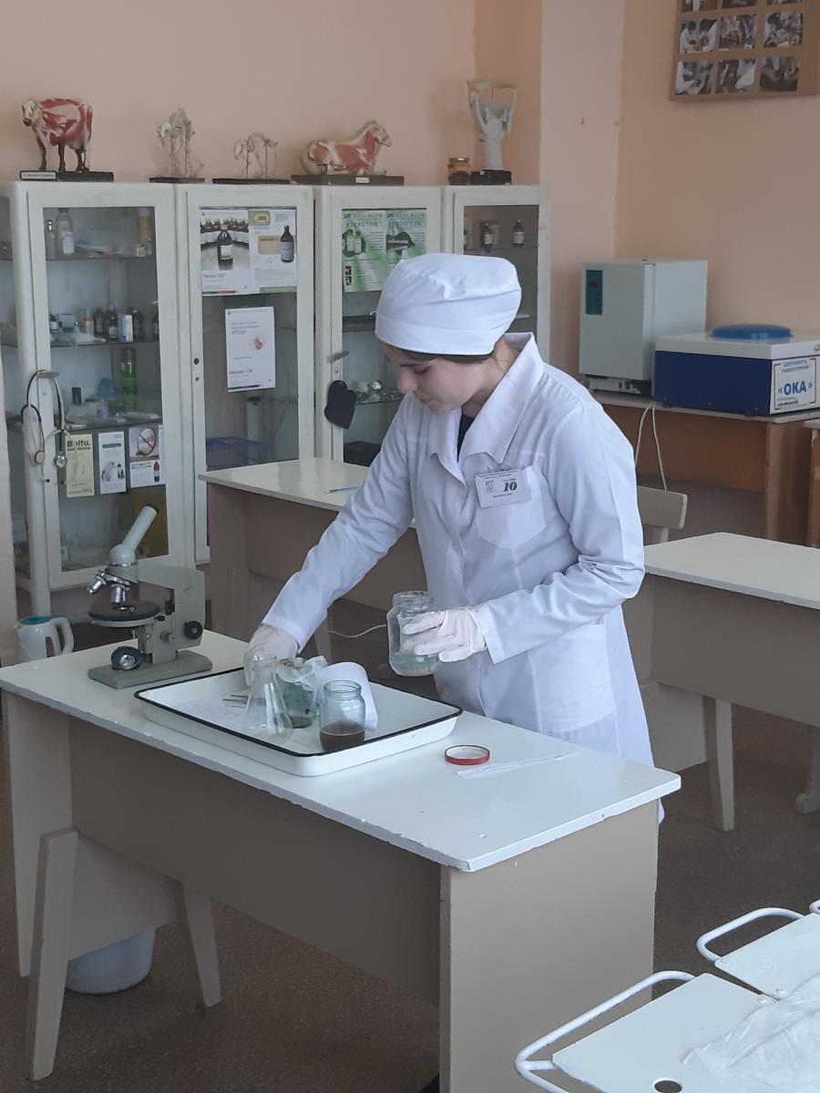 Конкурс профессионального мастерства по специальности 36.02.01 «Ветеринария» Фото 6