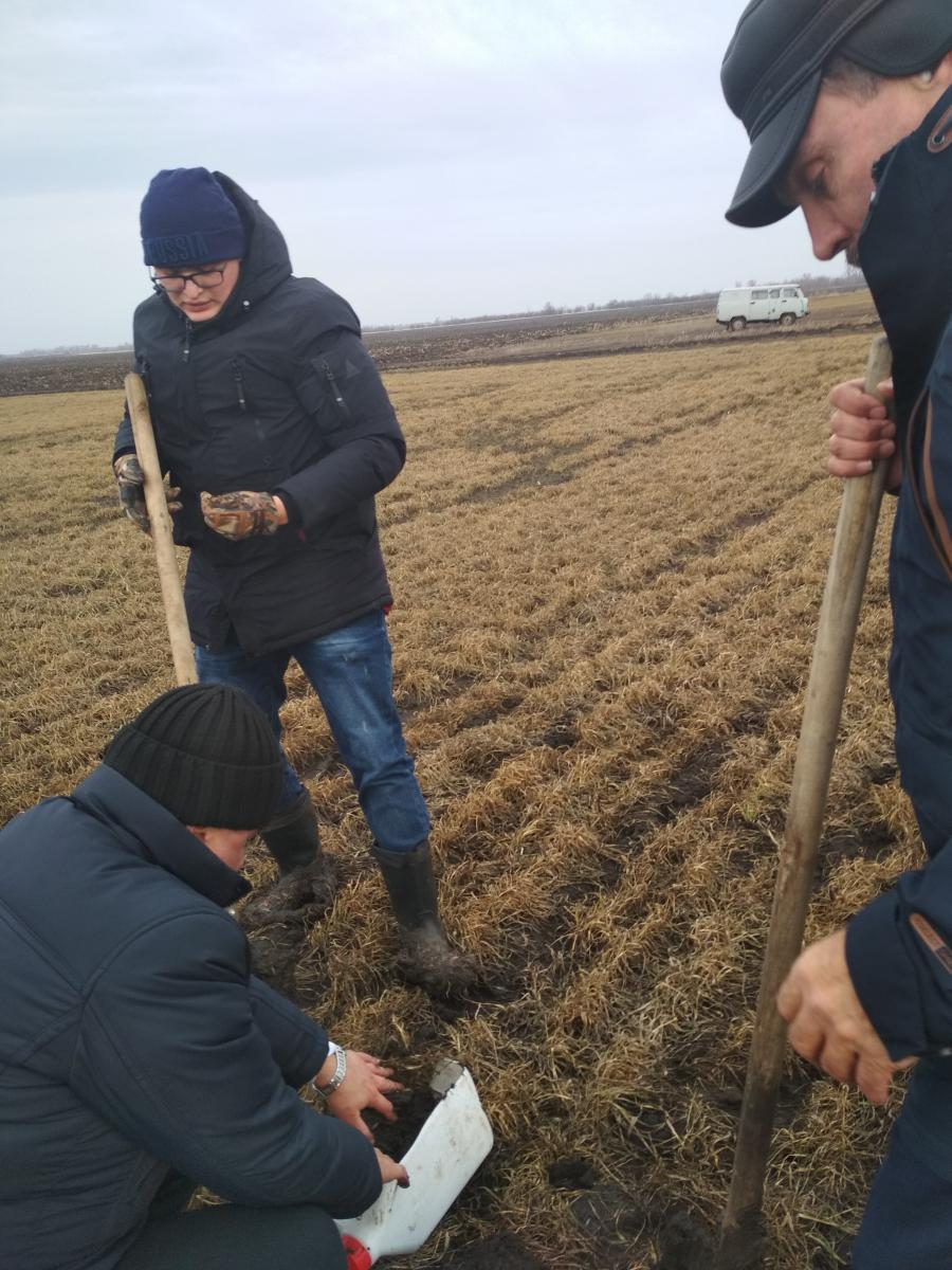 Обследование посевов озимой пшеницы в УНПО «Поволжье» Фото 3