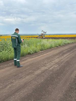 05.04.06  Экология и природопользование.  Профиль «Устойчивое развитие и охрана окружающей среды»