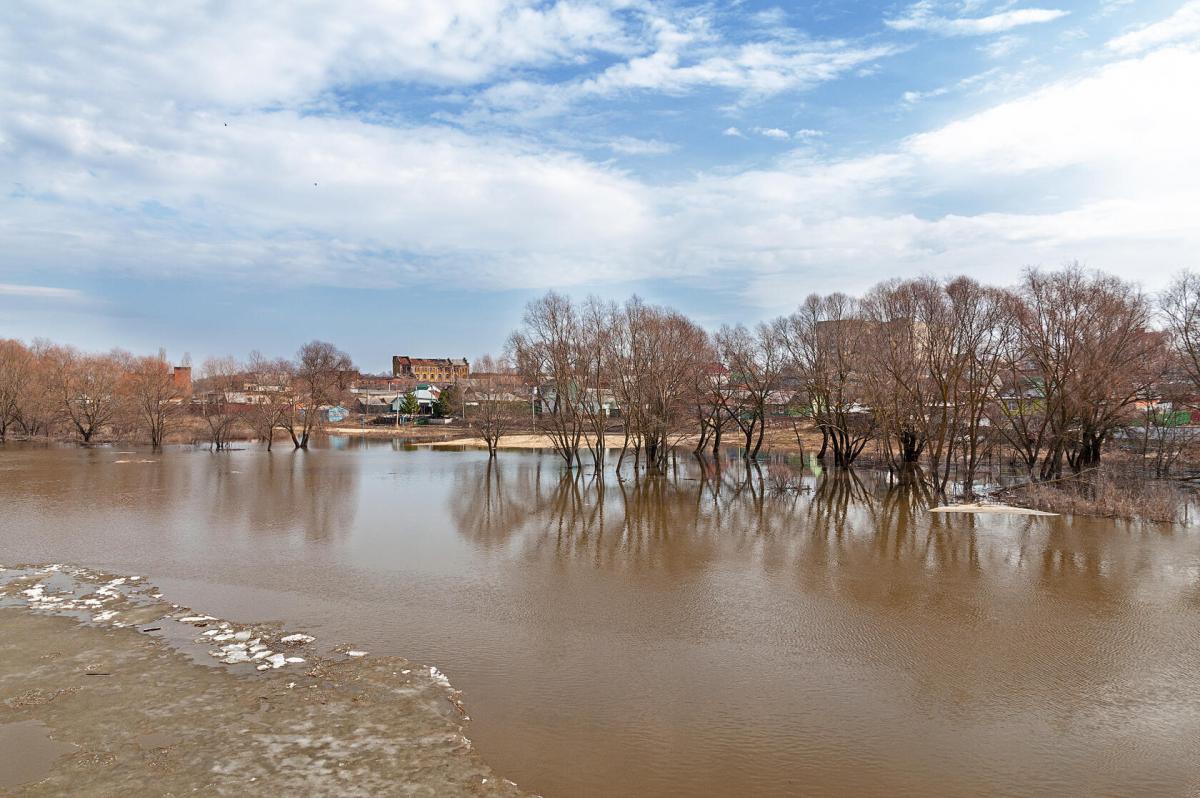 Итоги Регионального заочного конкурса фоторабот «Весенние краски природы» Фото 2