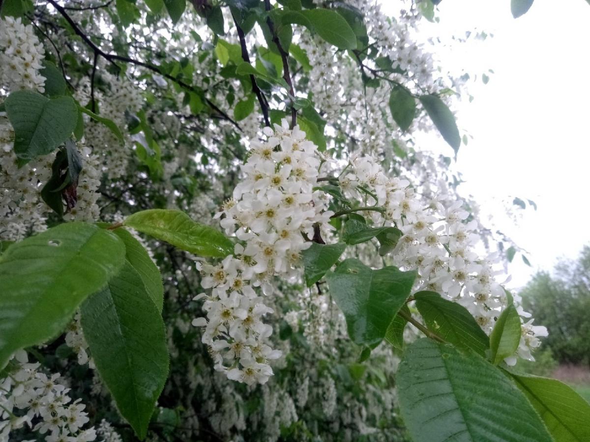 Итоги Регионального заочного конкурса фоторабот «Весенние краски природы» Фото 22