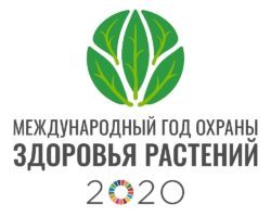 На агрономическом факультете СГАУ пройдет круглый стол