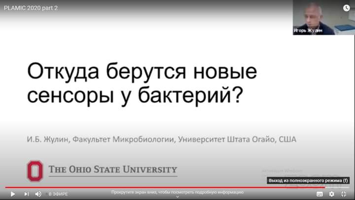 СГАУ принимает участие в научной конференции PLAMIC2020 Фото 5