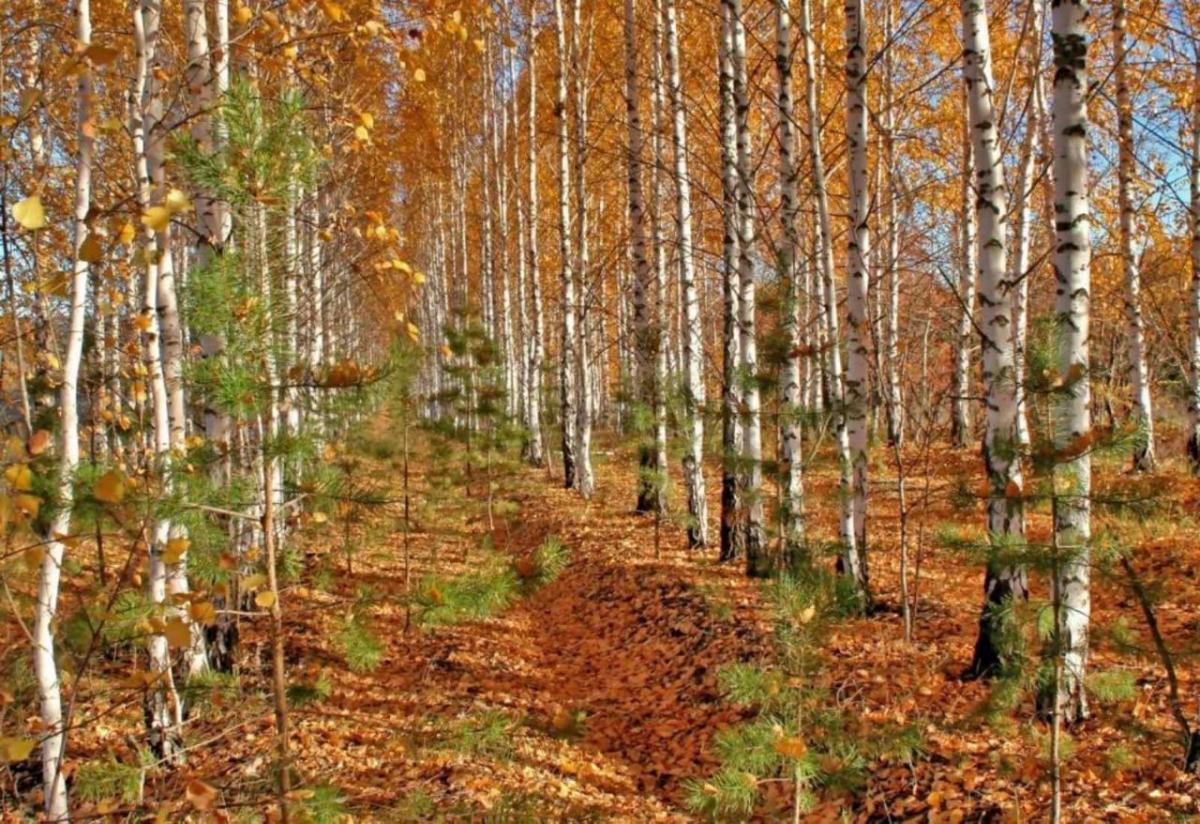 Итоги Регионального заочного фотоконкурса «Ландшафты любимого края» Фото 3