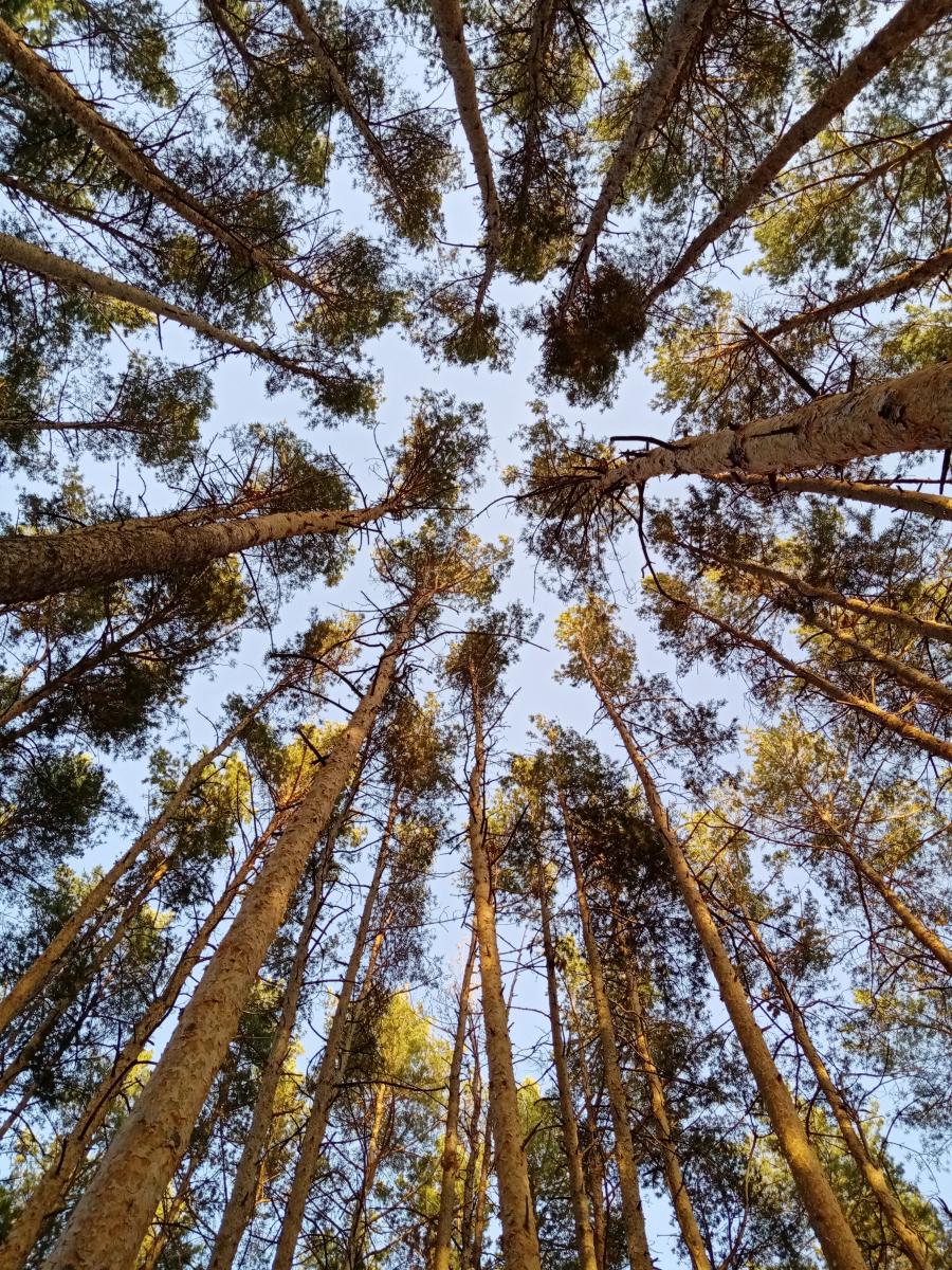 Итоги Регионального заочного фотоконкурса «Ландшафты любимого края» Фото 11