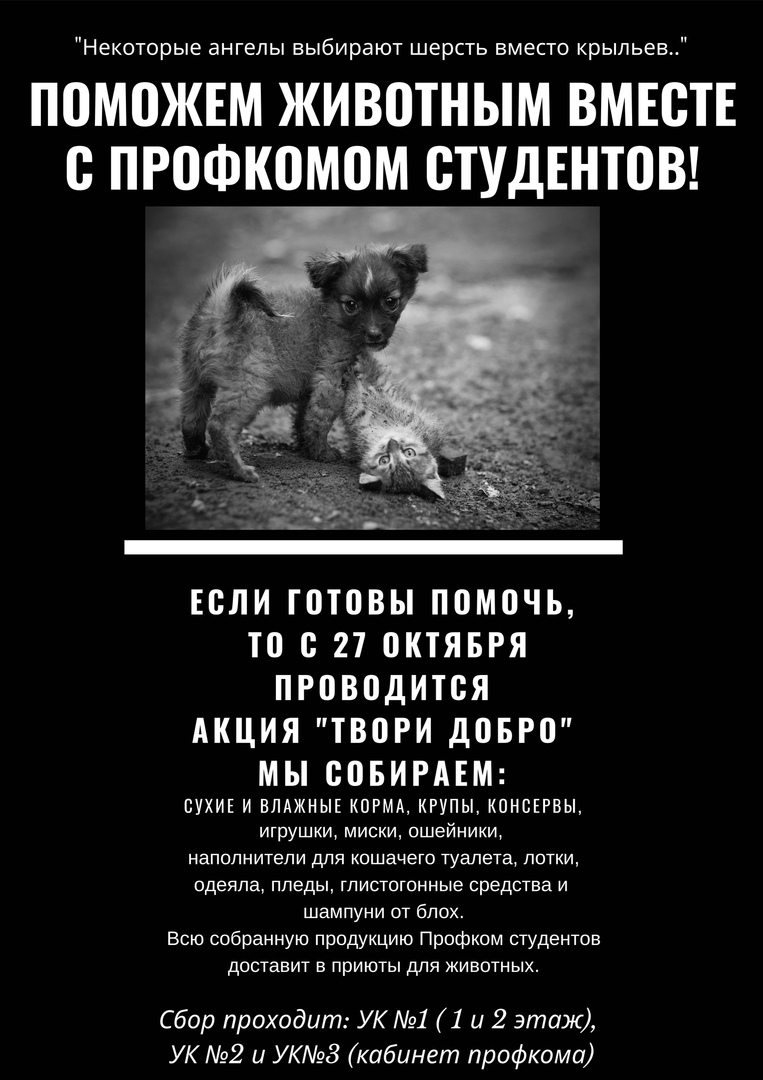 Акция 